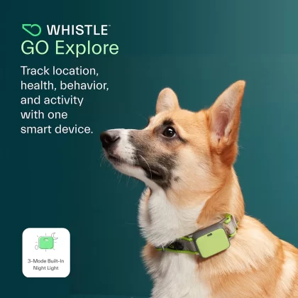Whistle Green GO Explore Dog GPS Tracking Device and Pet Health Monitoring System
