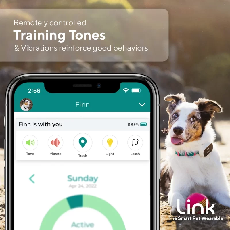 Link My Pet Wearable Dog GPS Tracker