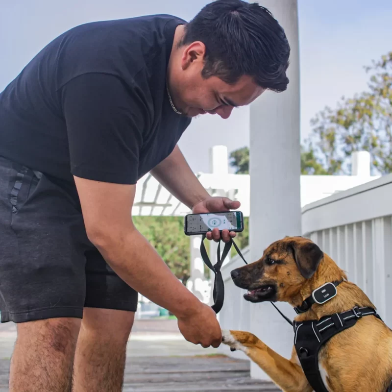 Link My Pet Wearable Dog GPS Tracker